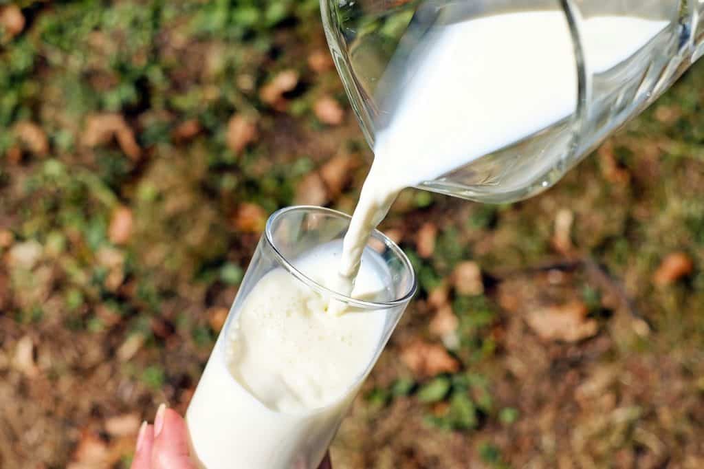 A TEJ HALOTT: a világ legnagyobb tejipari vállalata hatalmasat bukott
