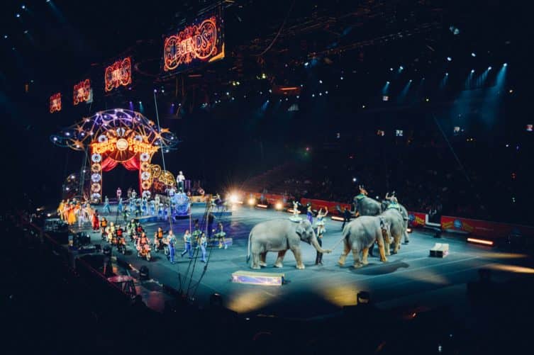 Wales kormánya megmentené a cirkuszi állatokat