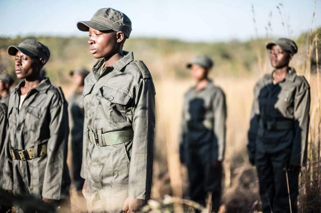 Egy csapat vegán nő harcol a veszélyeztetett állatfajok megmentéséért Afrikában