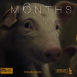 Két hétig ingyen nézhető egy díjnyertes vegán film