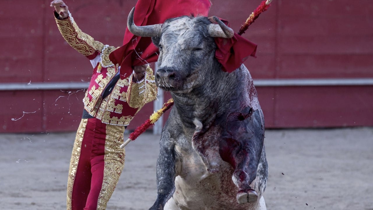 Betiltották az egyik spanyol bikaviadalt