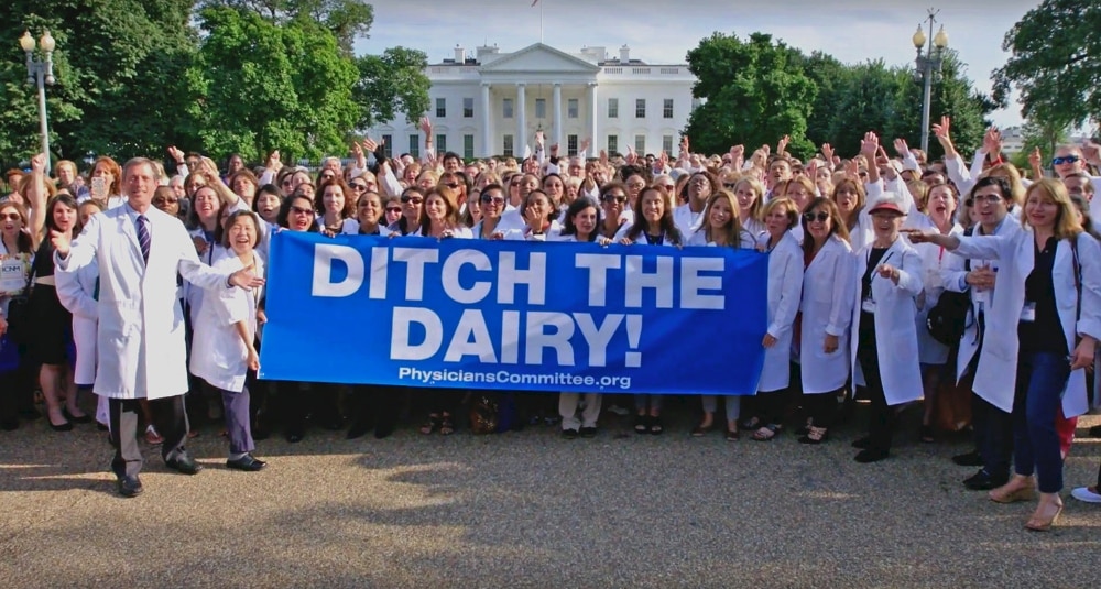 Orvosok szólaltak fel a tejipar ellen