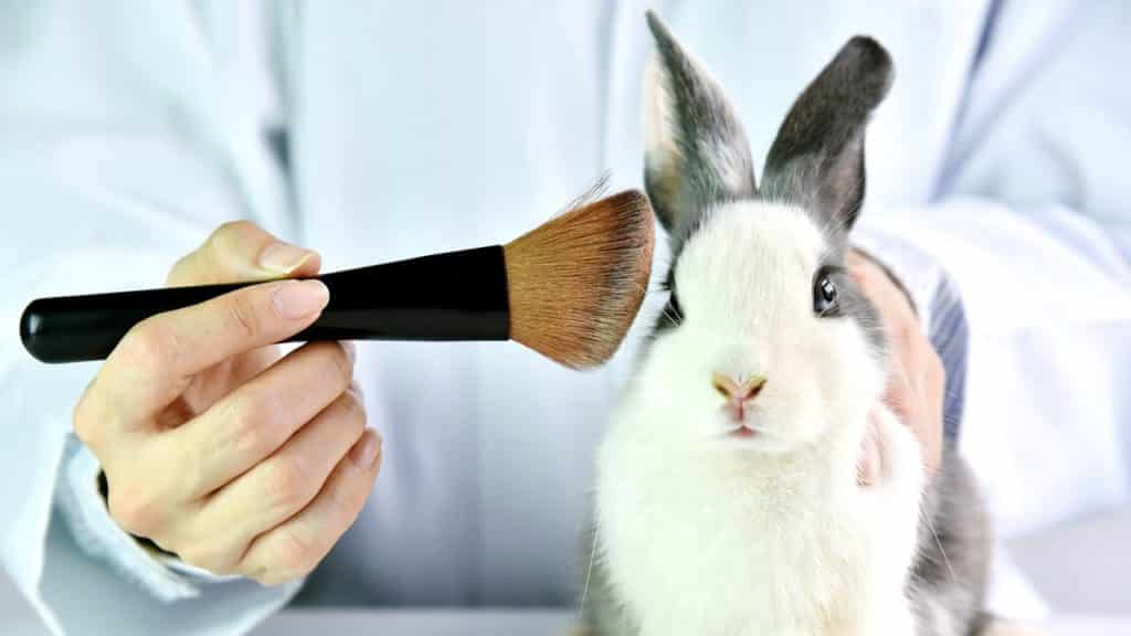 Kína megszünteti az állatkísérleteket a már piacon lévő kozmetikai termékek esetében