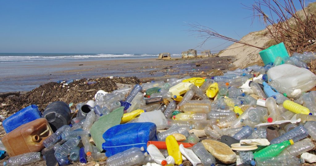 A tenger gyümölcsei mellé évi 11.000 apró műanyag darab is jár