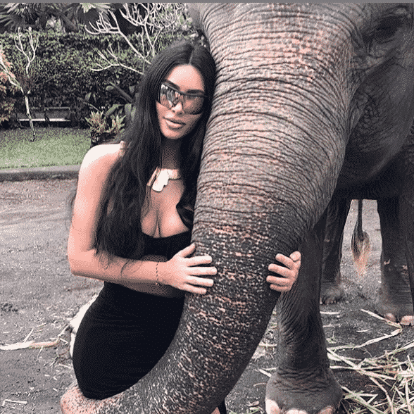 Kim Kardashian elefánt