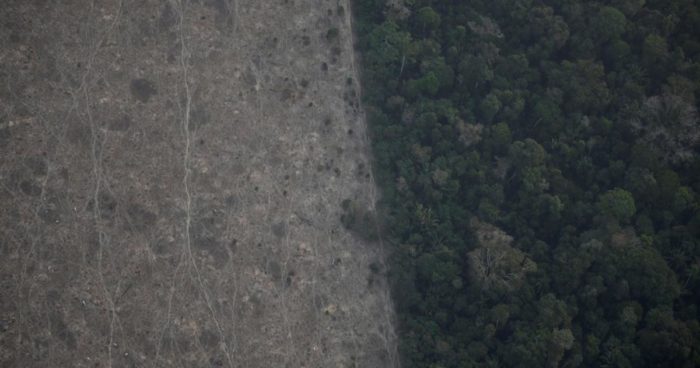 Amazonas tűz - leégett esőerdő