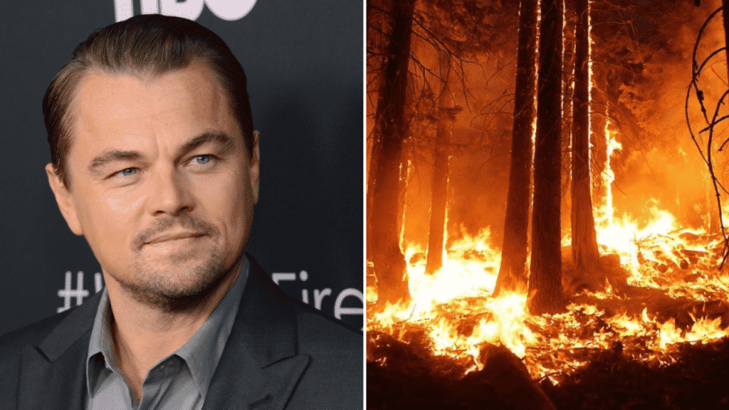 Leonardo DiCaprio arra kér, hogy az Amazonas megmentése érdekében ne egyél marhahúst