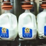 Amerika legrégebbi tejipari vállalata csődbe ment