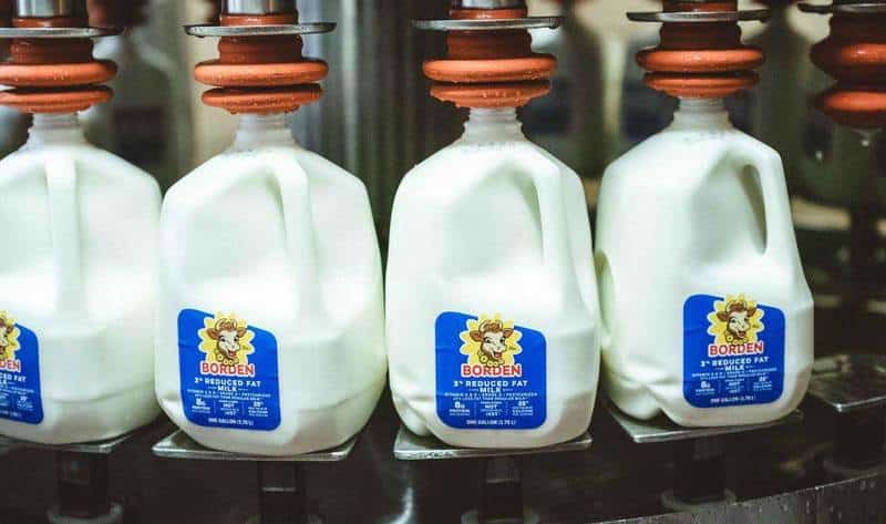 Borden Dairy Company csődbe ment