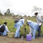 Madagaszkáron 60 millió fát ültetnek a klímaválság ellen