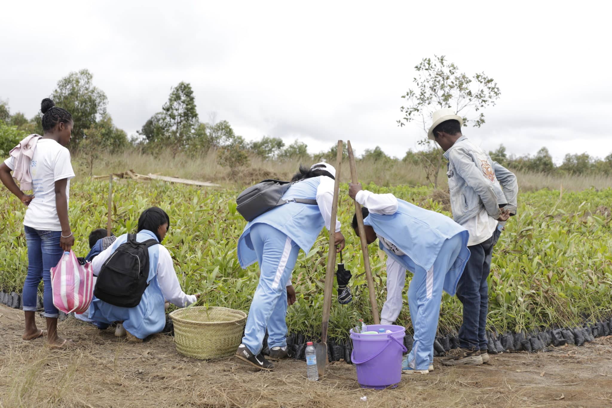 Madagaszkáron 60 millió fát ültetnek a klímaválság ellen