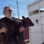 Joaquin Phoenix megmentett egy tehenet és borját a vágóhídról