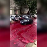 Félmillió liter állati vér árasztotta el az utcákat egy vágóhíd miatt