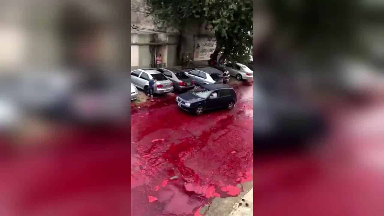 Vér az utcán egy vágóhíd miatt