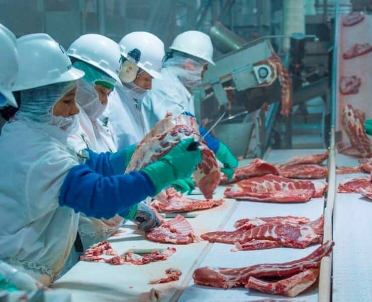 Húsipari dolgozók koronavírus