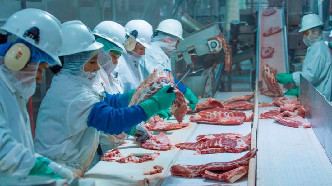 Húsipari dolgozók koronavírus