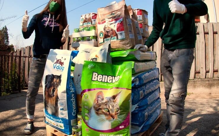 232 kiló vegán állateledelt adományozott egy menhelynek a Vegapet