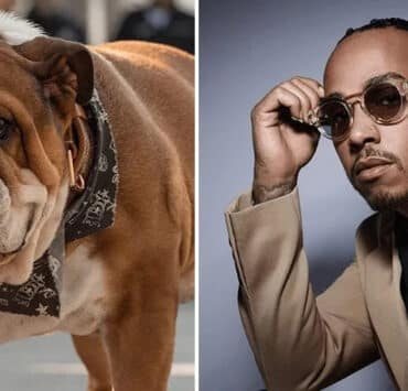 Lewis Hamilton kutyája vegán étrenden él