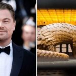 Leonardo DiCaprio szerint a vadállatok “élve többet érnek”, ezért be kell tiltani a kizsákmányolásukat