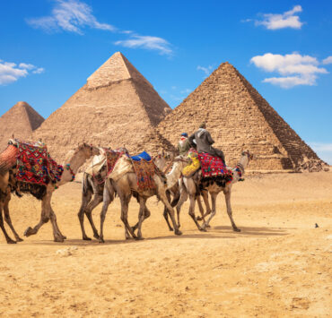 Betiltják a tevegelést és lovaglást a gízai piramisok körül