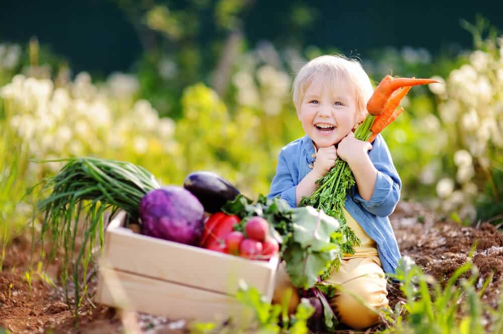 Egy kisgyerek zöldségekkel a kezében mosolyog a kertben