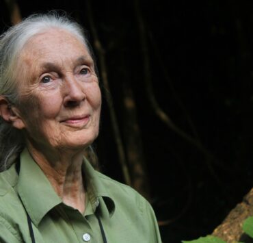 LEAD-Jane-Goodall.-OTH0172-04.-The-Jane-Goodall-Institute.-By-Shawn-Sweeney-scaled