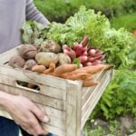 Ha mindenki növényi étrenden élne, negyedére csökkenne a földhasználat
