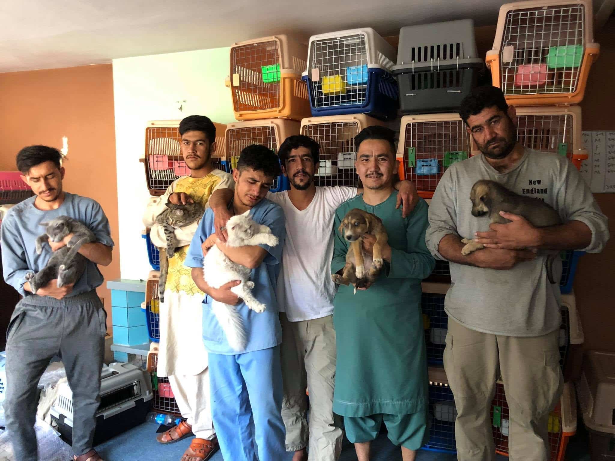 Kabul Small Animal Rescue nem jutott ki Afganisztánból