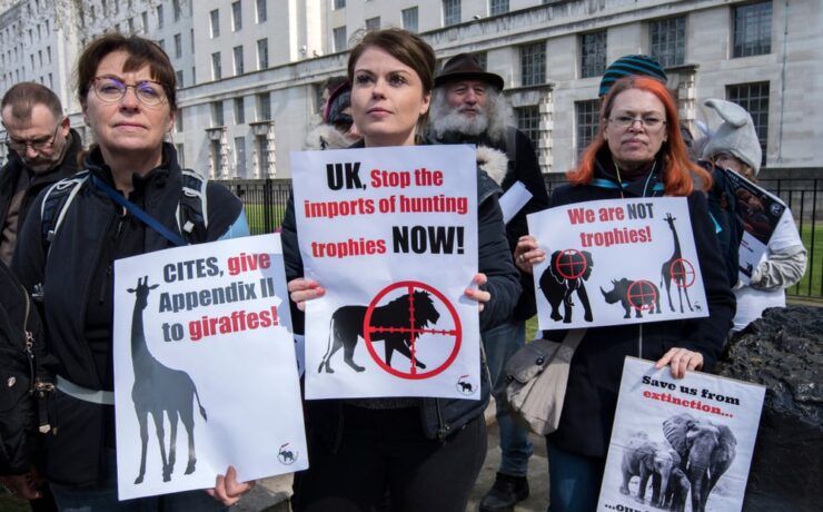 Közel 7000 állatfaj kerülhet védelem alá az új brit trófeavadászati törvényjavaslat által
