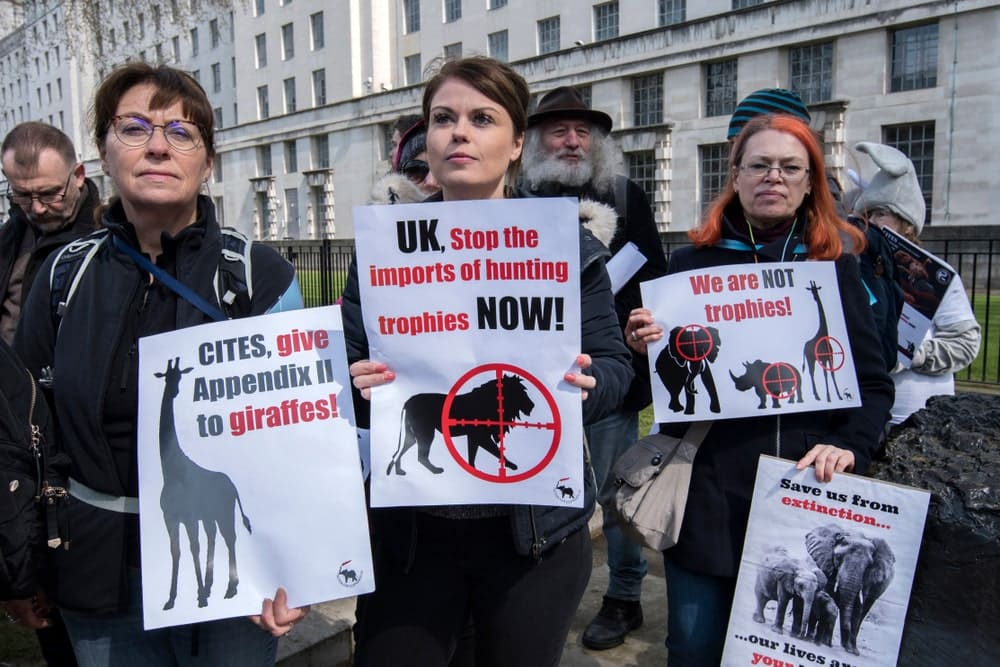 UK betiltja a trófeavadászat importját