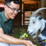 Egy vegán aktivista megmentett egy beteg kecskét a húsiparból – 7 év börtönnel jutalmaznák