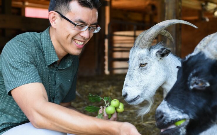 Egy vegán aktivista megmentett egy beteg kecskét a húsiparból – 7 év börtönnel jutalmaznák