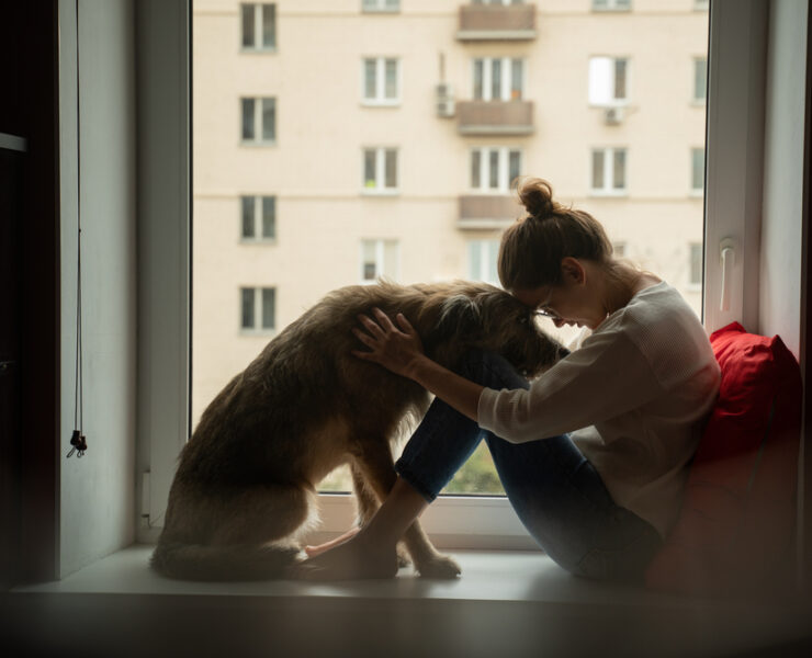 Egy fiatal nő a bozontos kutyájával otthon, a városra néző ablakpárkányon ül. Önelszigetelődés, karantén. Háziállatok iránti szeretet, öröm és gyengédség.