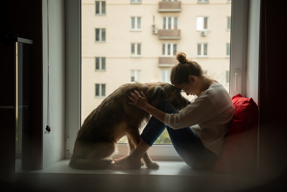 Egy fiatal nő a bozontos kutyájával otthon, a városra néző ablakpárkányon ül. Önelszigetelődés, karantén. Háziállatok iránti szeretet, öröm és gyengédség.