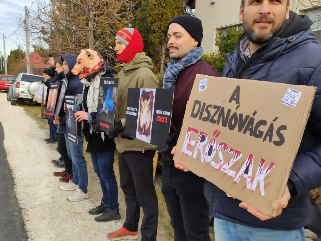 HARC - állatjogi aktivisták böllérfesztivál