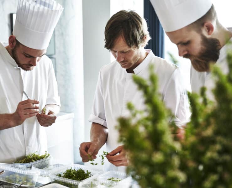 Geranium növényi fókuszú top étterem Dániában