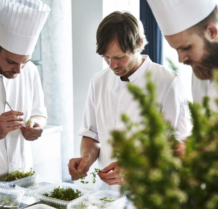 Geranium növényi fókuszú top étterem Dániában