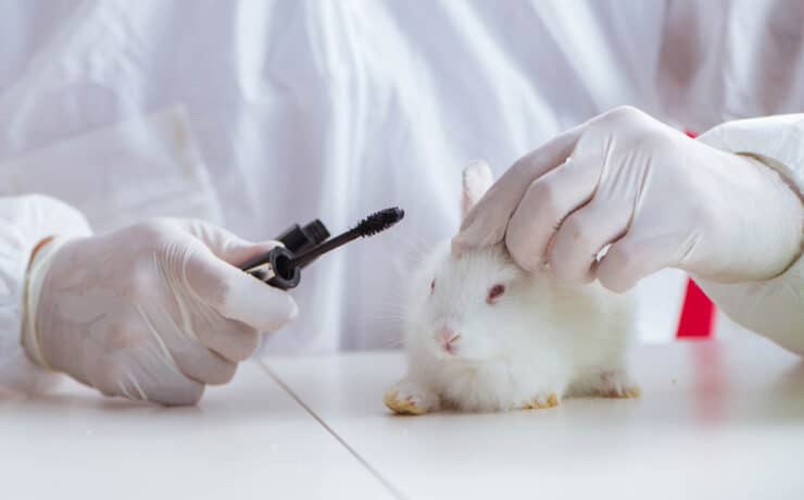 Másfél millióan követelik az állatkísérletek betiltását az Európai Unióban
