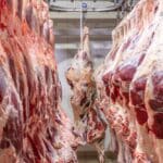 A Texas államot sújtó aszály miatt sokkal több marhát küldenek a vágóhídra