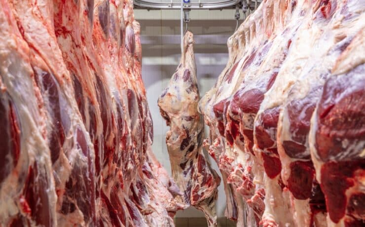 A Texas államot sújtó aszály miatt sokkal több marhát küldenek a vágóhídra