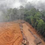 Szinte teljes egészében a mezőgazdaság felelős az esőerdők kiirtásáért