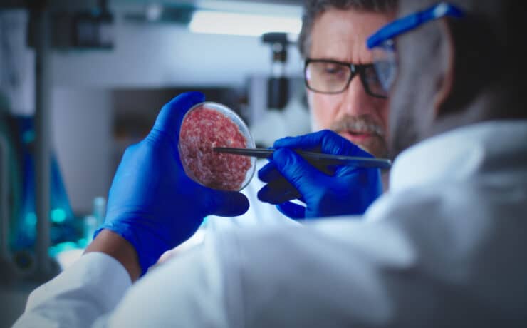 A holland kormány 60 millió euróval támogatja a sejtalapú húsgyártást