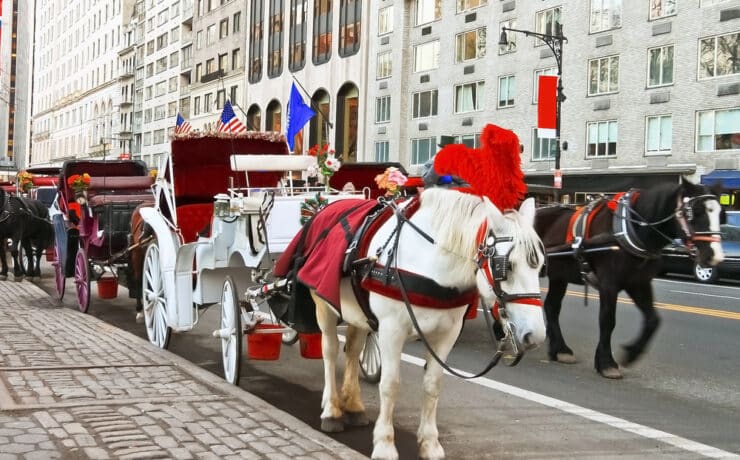 Joaquin Phoenix és Billie Eilish is azt követeli, hogy tiltsák be a lovaskocsizást New Yorkban