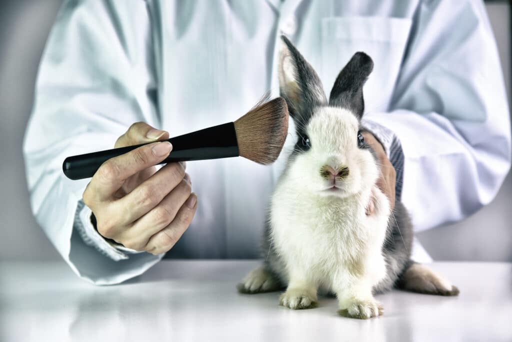 New York állam betiltja az állatokon tesztelt kozmetikumok forgalmazását