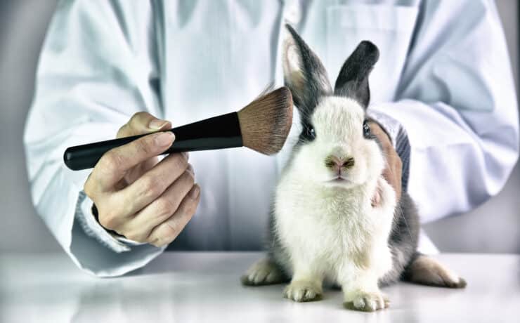 New York állam betiltja az állatokon tesztelt kozmetikumok forgalmazását