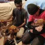 A rendőrség nem kegyelmezett az állatkísérletek elől megmentett kutyáknak