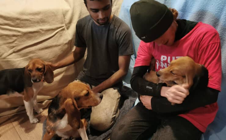 A rendőrség nem kegyelmezett az állatkísérletek elől megmentett kutyáknak