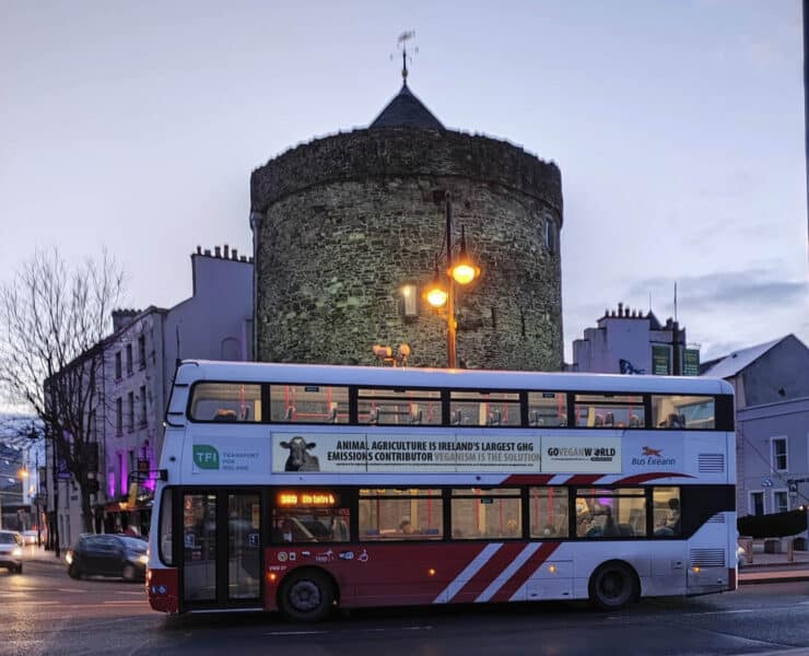 vegán reklámok a buszokon Írországban