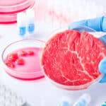 Olaszország betiltaná a sejtalapú húskészítmények gyártását