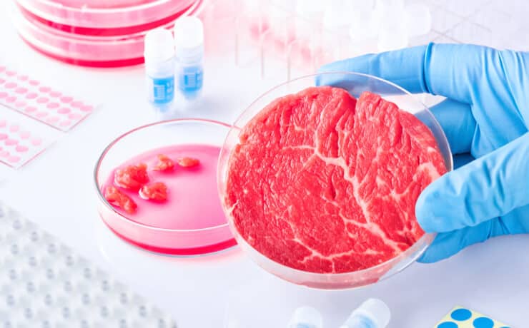 Olaszország betiltaná a sejtalapú húskészítmények gyártását